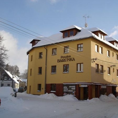 Penzion Barunka Vysoke nad Jizerou Bagian luar foto